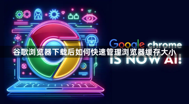 谷歌浏览器下载后如何快速管理浏览器缓存大小1