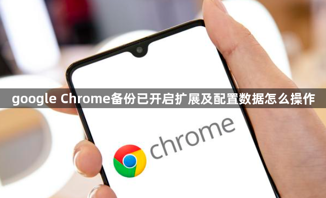 google Chrome备份已开启扩展及配置数据怎么操作1