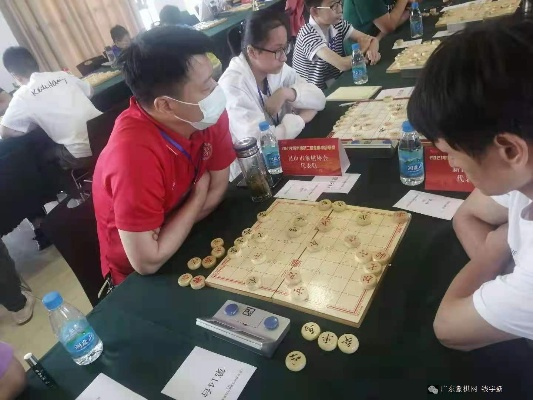 南京近期象棋比赛精彩纷呈，快来了解参赛信息