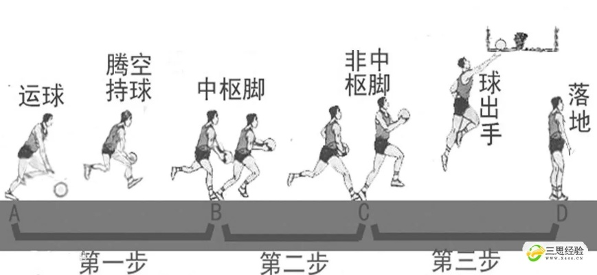 篮球知识入门从零开始学习篮球基础知识