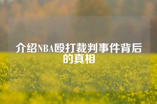 介绍NBA殴打裁判事件背后的真相-第1张图片-皇冠信用盘出租