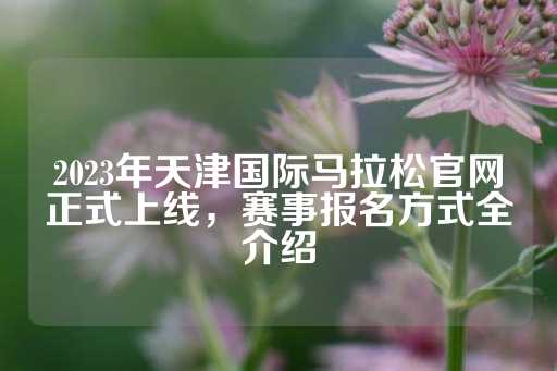 2023年天津国际马拉松官网正式上线，赛事报名方式全介绍-第1张图片-皇冠信用盘出租