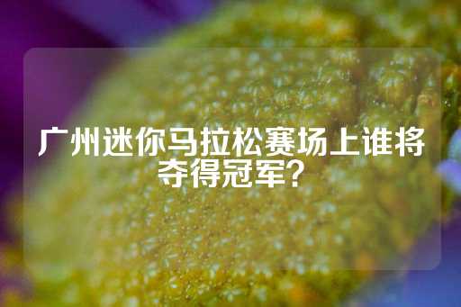 广州迷你马拉松赛场上谁将夺得冠军？