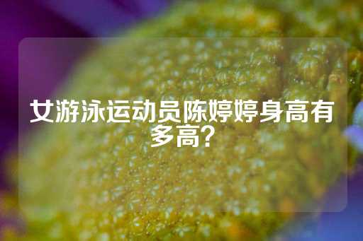 女游泳运动员陈婷婷身高有多高？