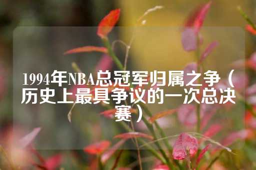 1994年NBA总冠军归属之争（历史上最具争议的一次总决赛）-第1张图片-皇冠信用盘出租