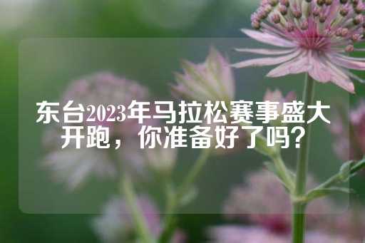 东台2023年马拉松赛事盛大开跑，你准备好了吗？