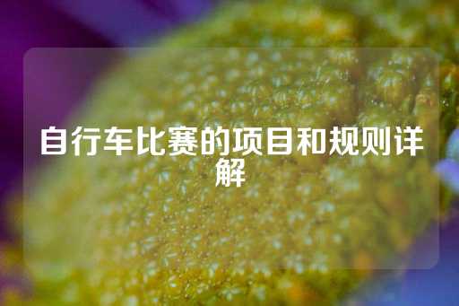 自行车比赛的项目和规则详解-第1张图片-皇冠信用盘出租