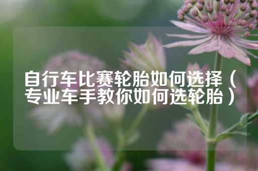 自行车比赛轮胎如何选择（专业车手教你如何选轮胎）