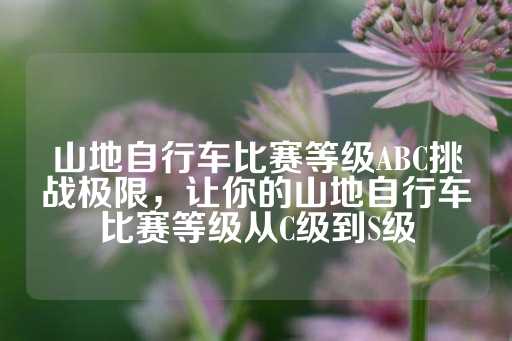 山地自行车比赛等级ABC挑战极限，让你的山地自行车比赛等级从C级到S级-第1张图片-皇冠信用盘出租