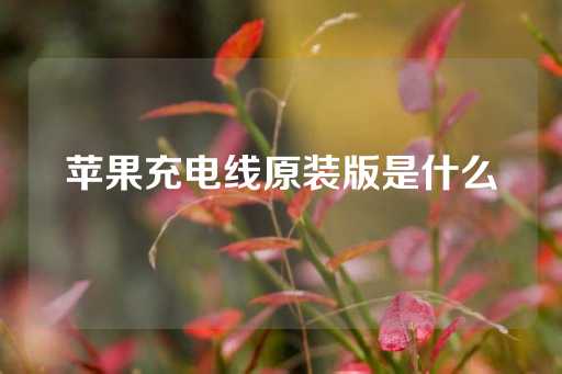 苹果充电线原装版是什么