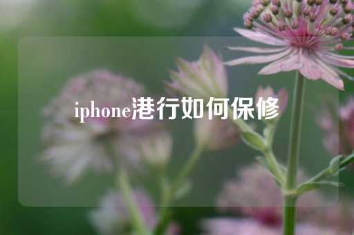 iphone港行如何保修-第1张图片-皇冠信用盘出租