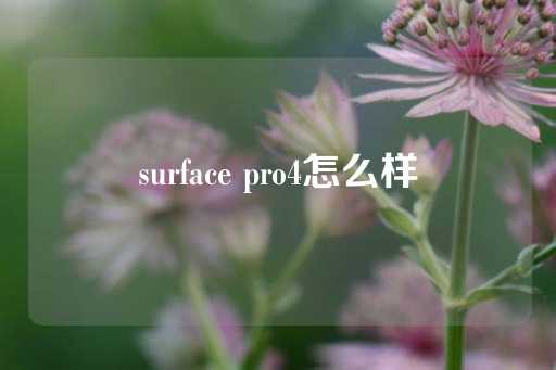 surface pro4怎么样