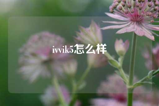 ivvik5怎么样