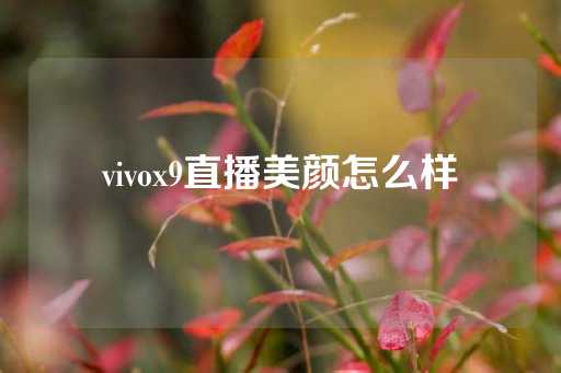 vivox9直播美颜怎么样