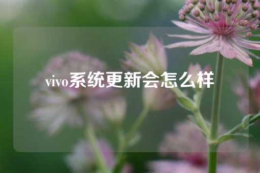 vivo系统更新会怎么样