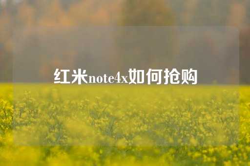 红米note4x如何抢购-第1张图片-皇冠信用盘出租