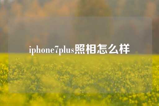 iphone7plus照相怎么样