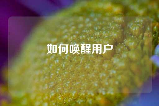 如何唤醒用户-第1张图片-皇冠信用盘出租