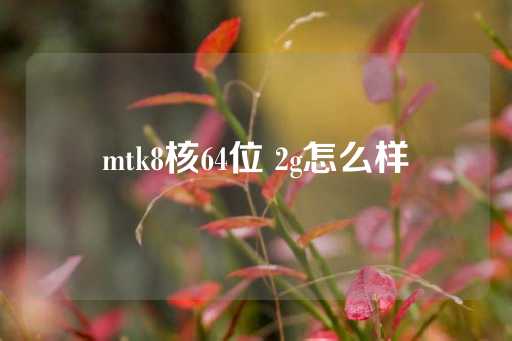 mtk8核64位 2g怎么样-第1张图片-皇冠信用盘出租